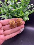 RP earrings
